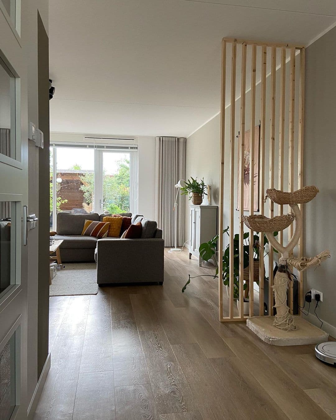 dieren-interieur-katten