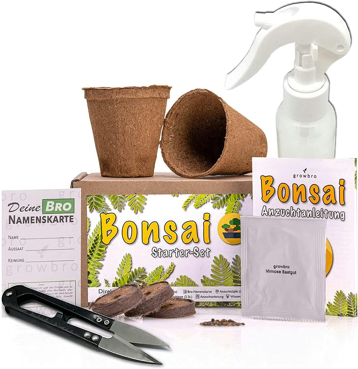 bonsai-boom-planten