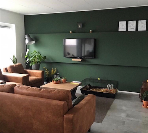 groene muur in woonkamer
