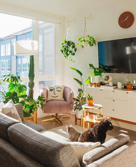 groene woonkamer met grote planten