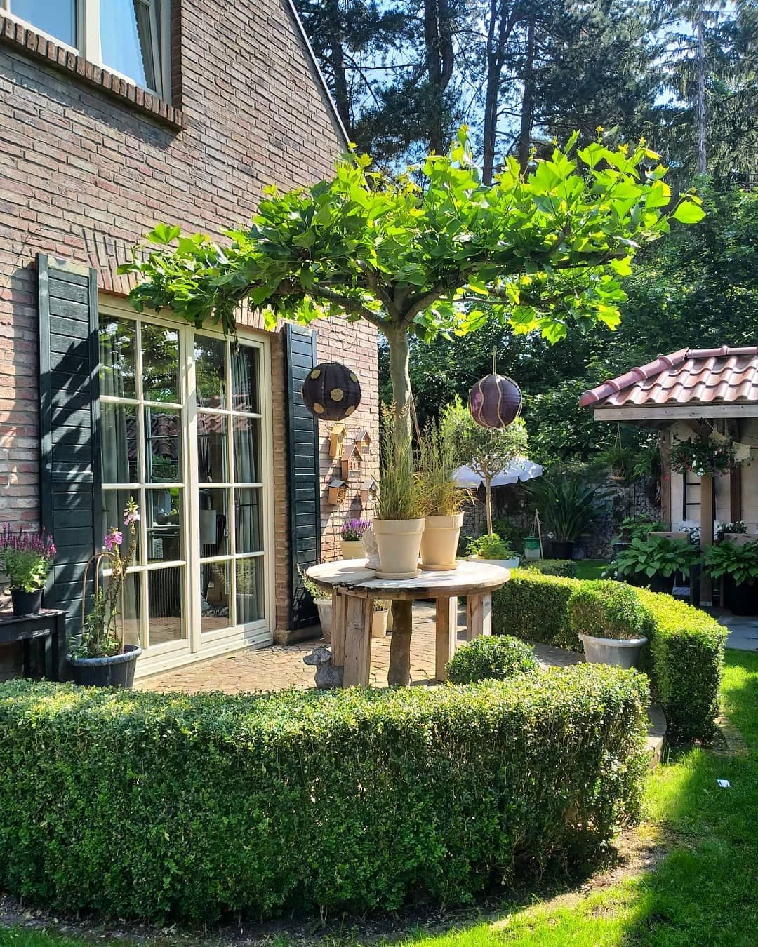 achtertuin-tuin-landelijk