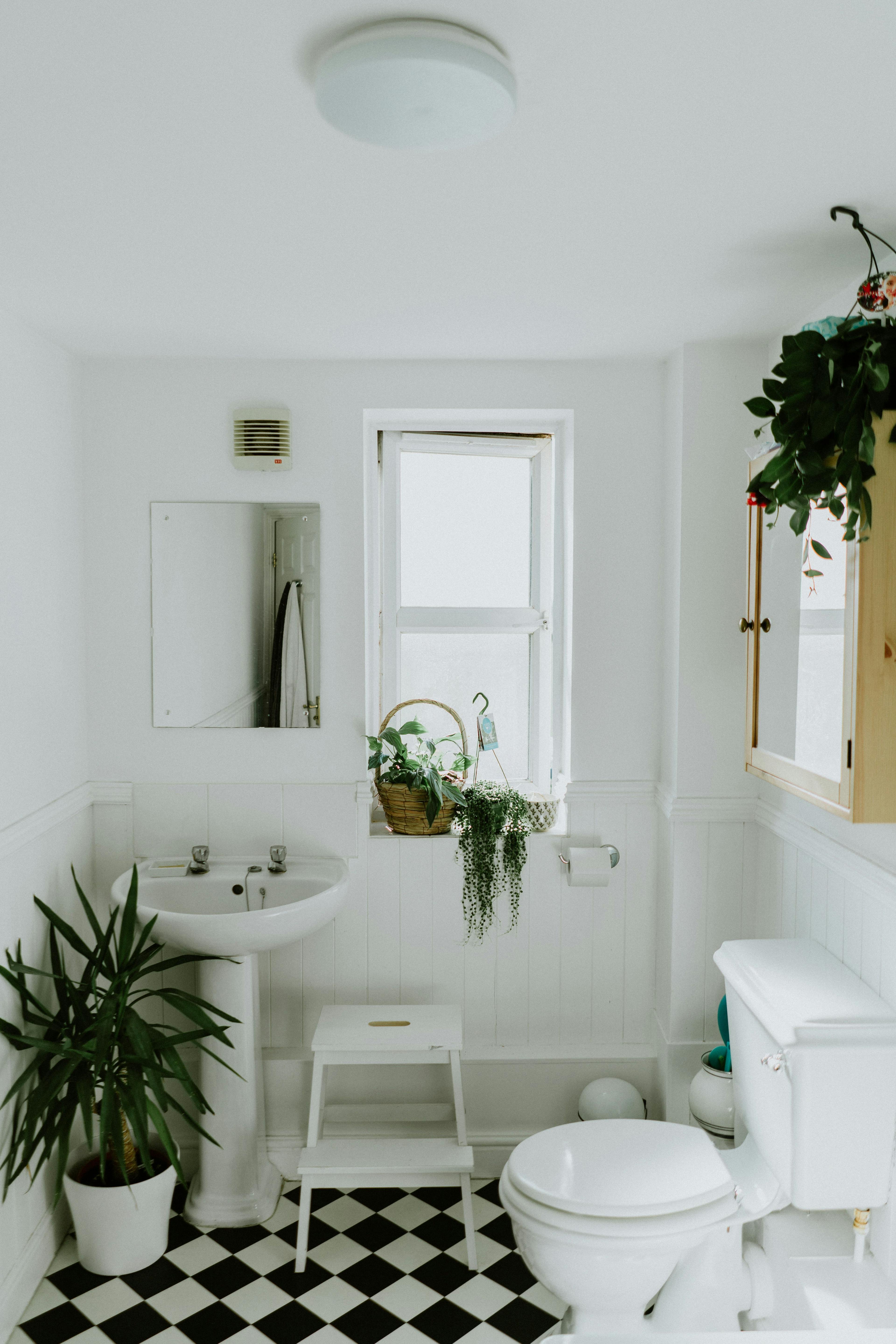 badkamer-bathroom-planten