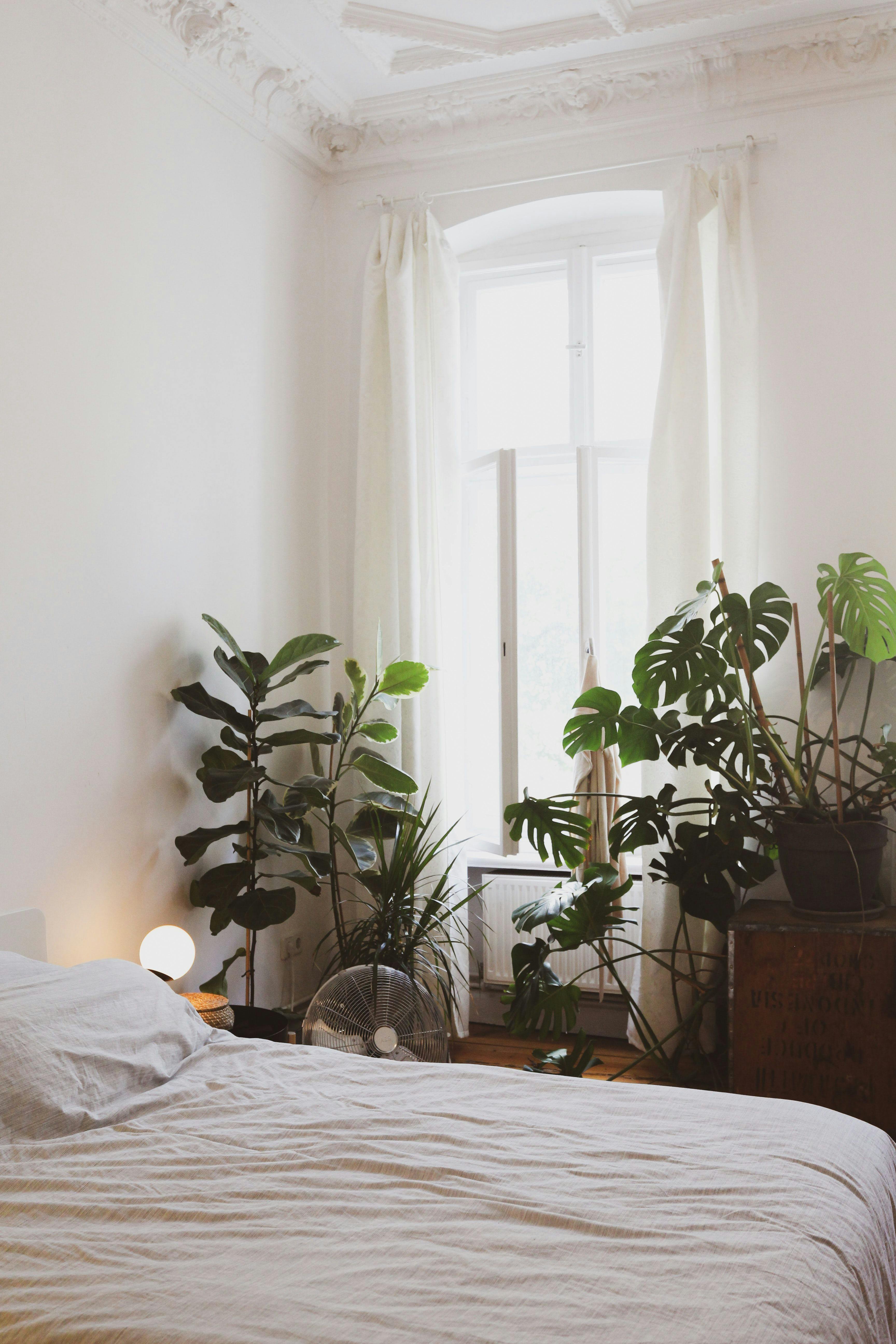 bedroom-slaapkamer-jungle