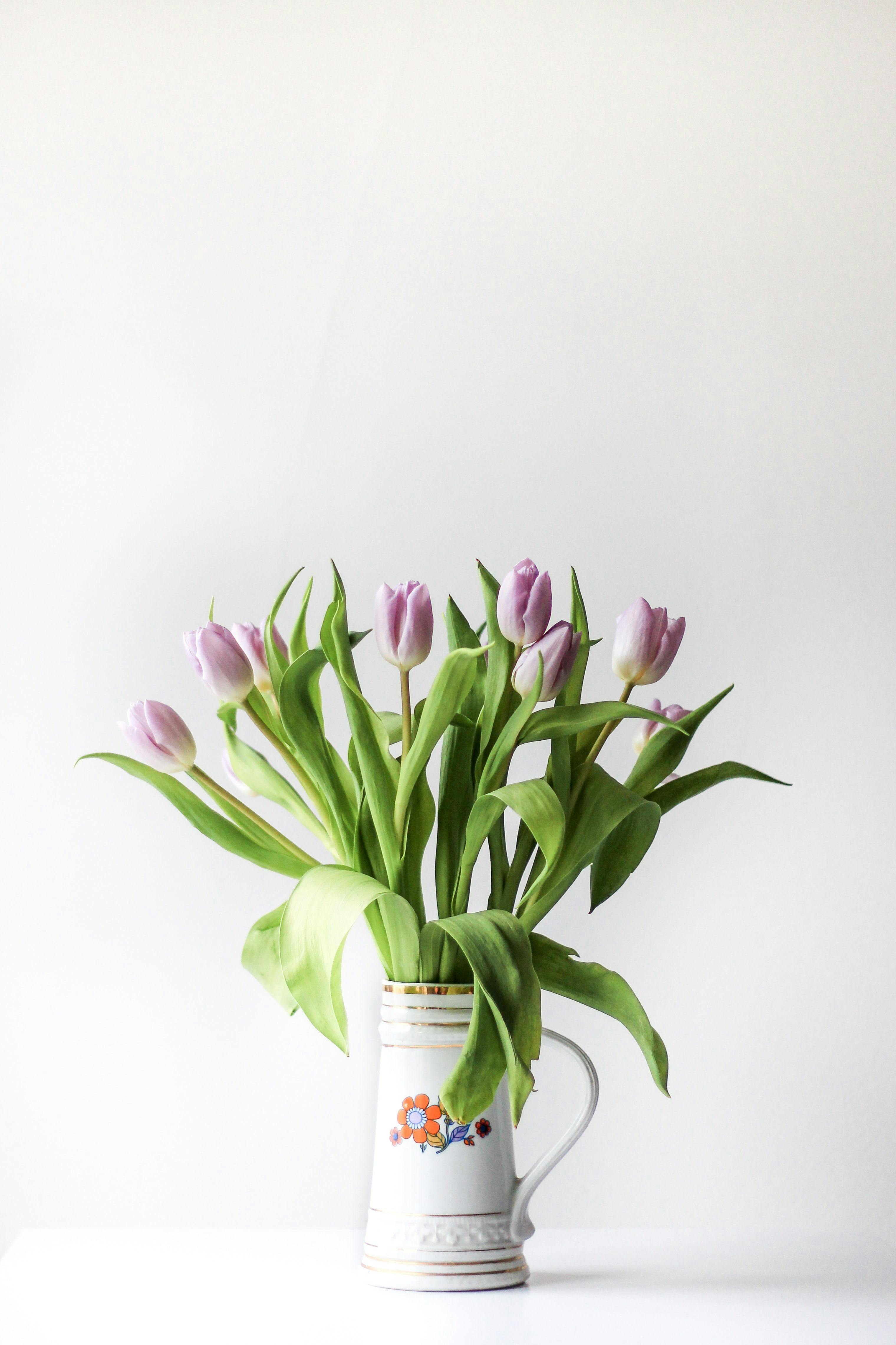 tulpen-bloemen-tulips