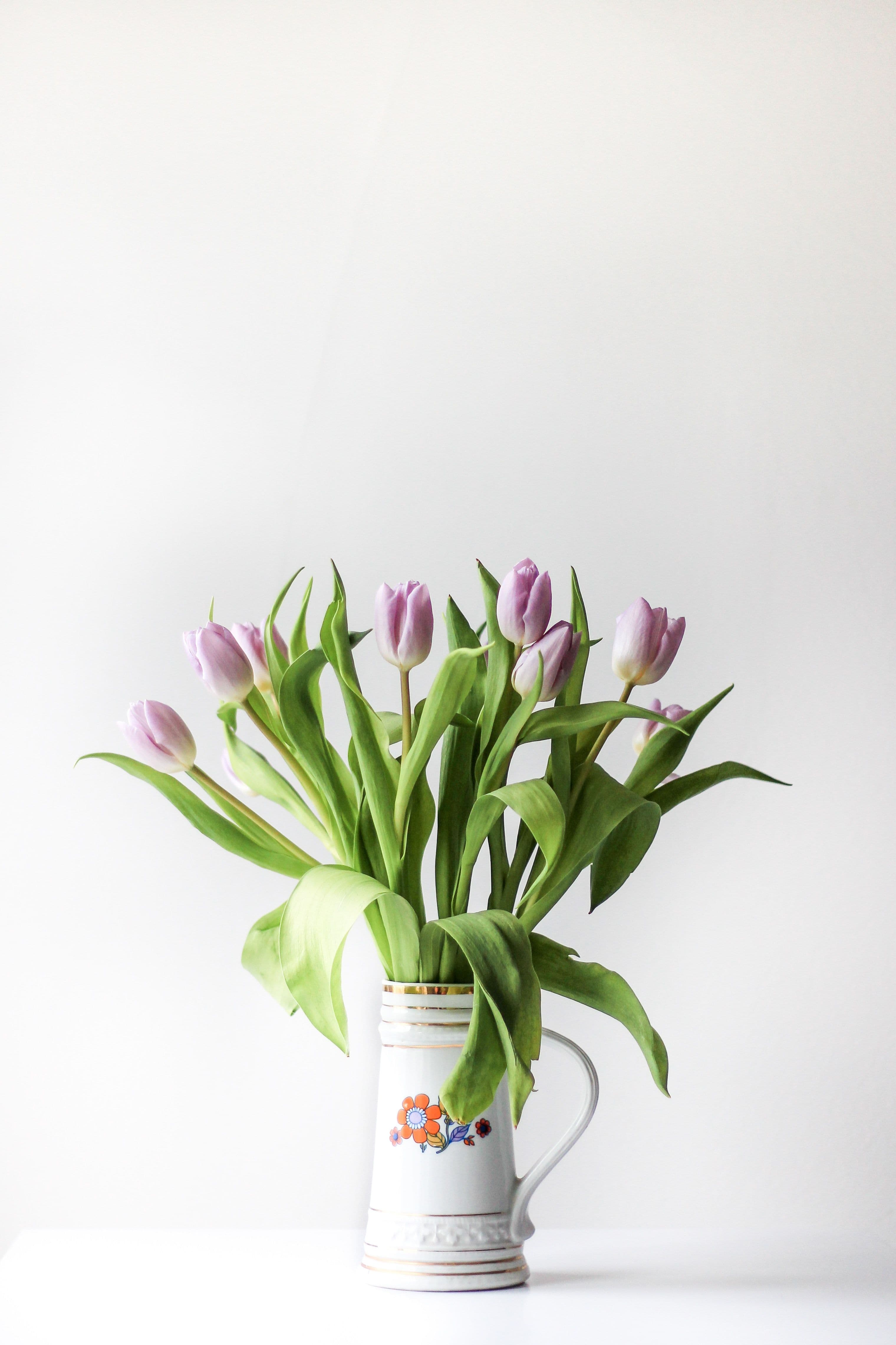 tulpen-bloemen-tulips