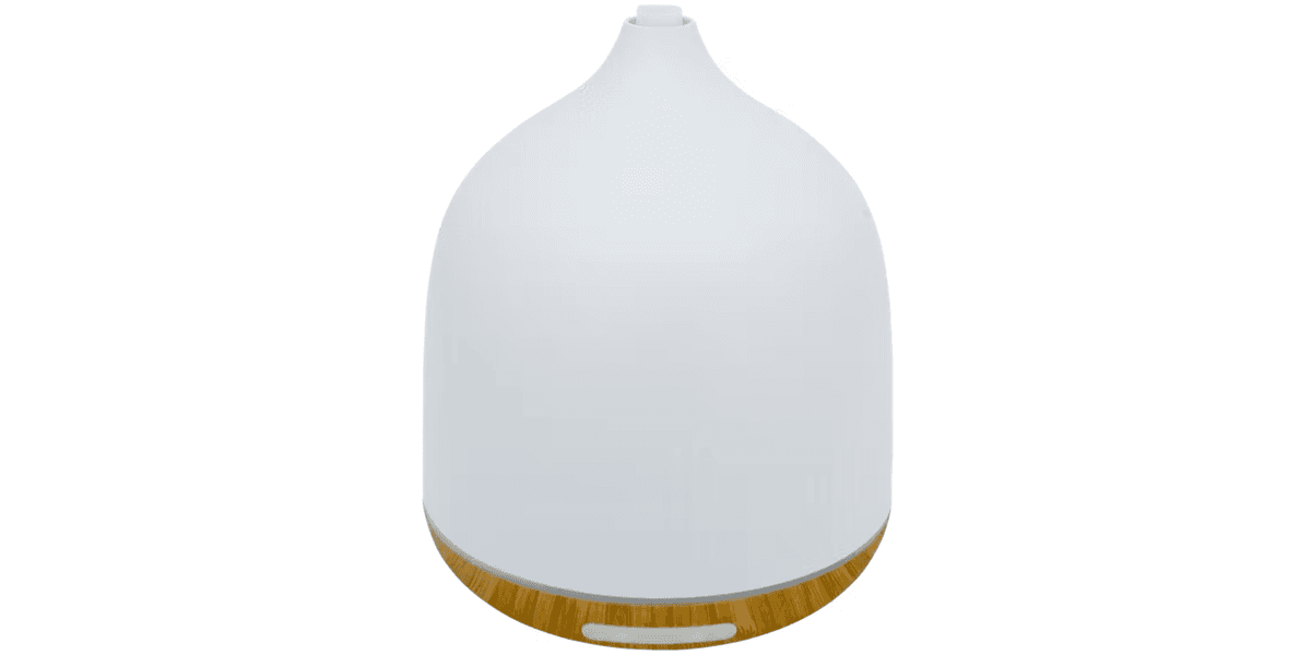 Action heeft een diffuser van minder dan €20 - Makeover.nl