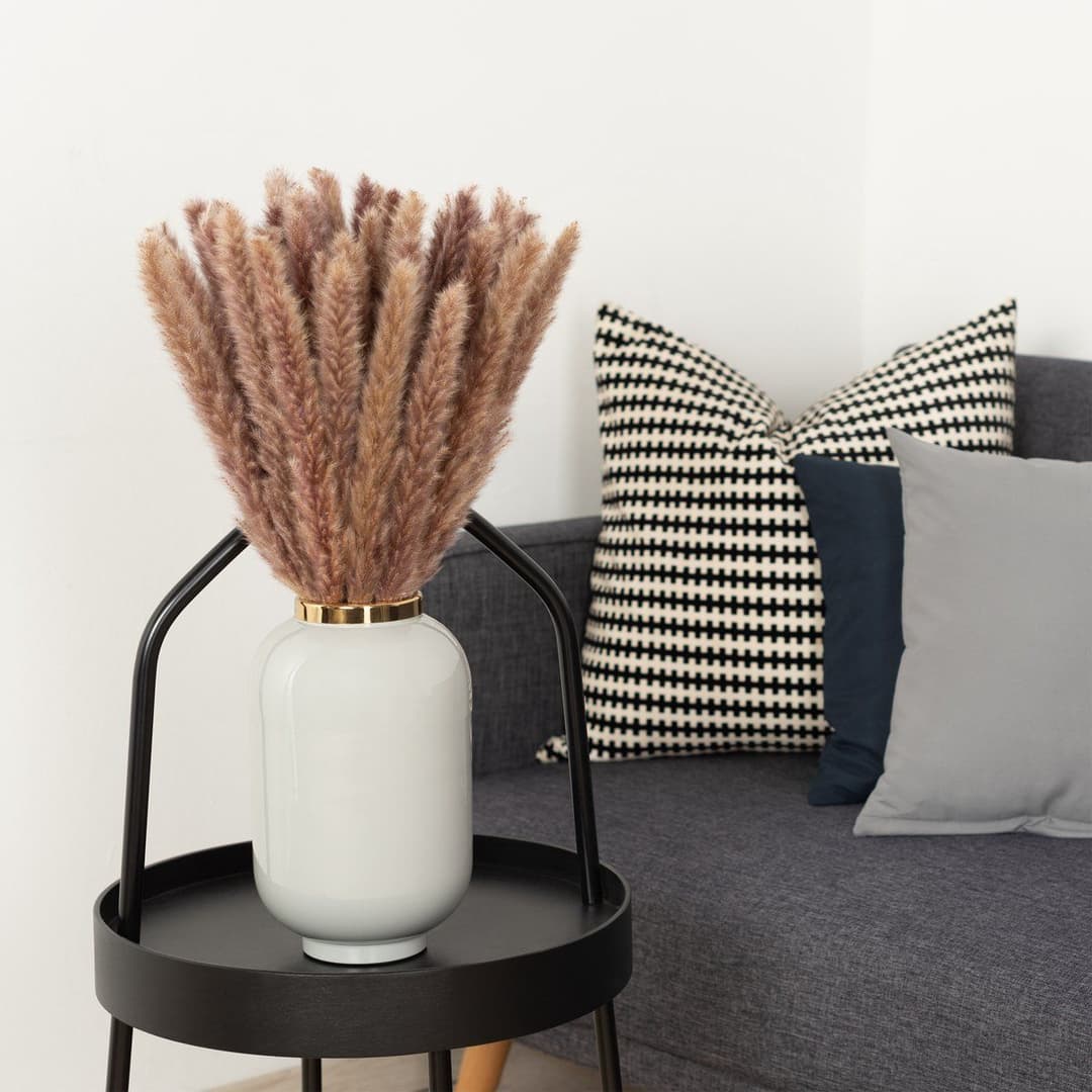 Katjes takken bestellen - Oranje - Snel in huis Katjes takken bestellen - Oranje - Snel in huis